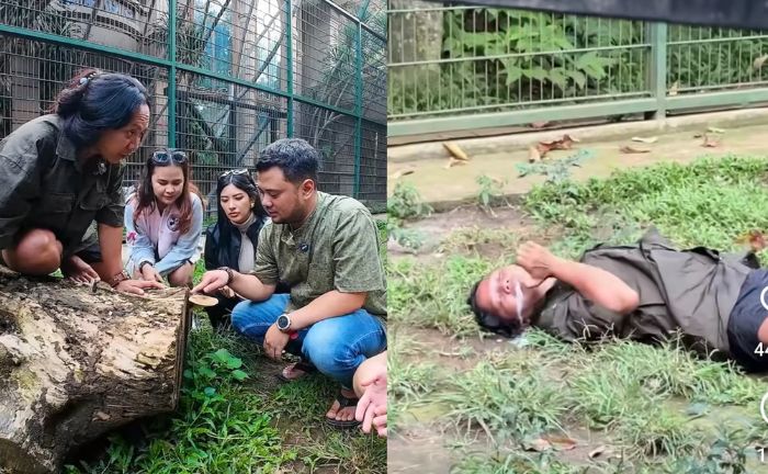 Panji Petualang Ungkap Kondisi Temannya yang Keracunan Jamur Tahi Macan Alshad Ahmad